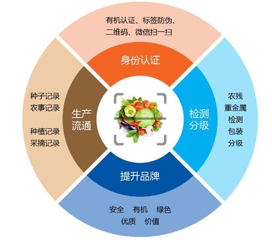 條碼追溯解決方案