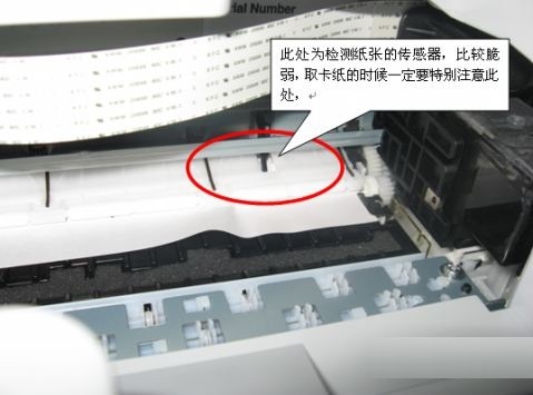 打印機(jī)卡紙